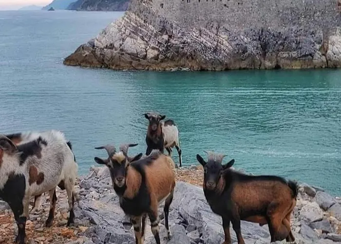 Apartment Rebecca House La Spezia