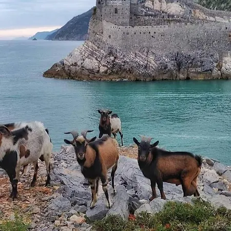 Apartamento Rebecca House La Spezia